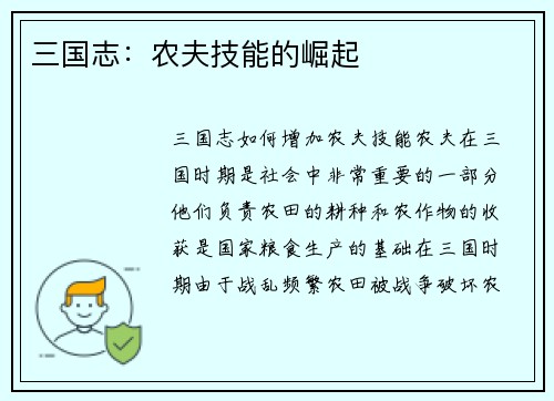 三国志：农夫技能的崛起