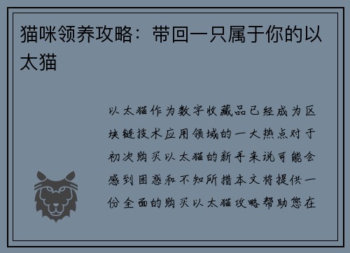 猫咪领养攻略：带回一只属于你的以太猫